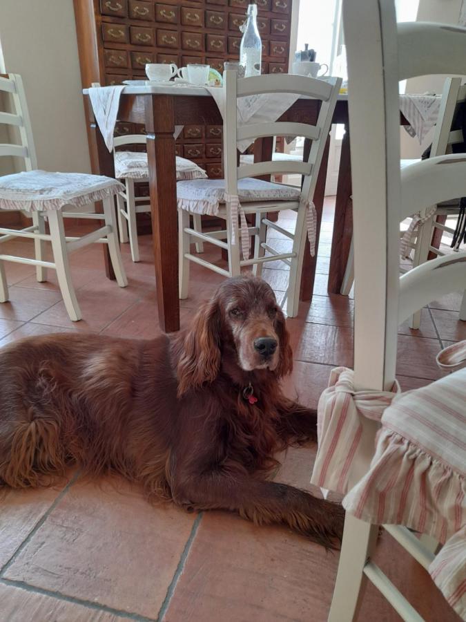 Tenuta Degli Angeli Rossi Asti Luaran gambar