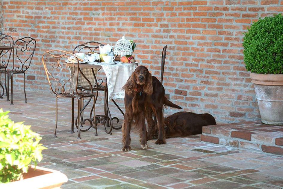Tenuta Degli Angeli Rossi Asti Luaran gambar
