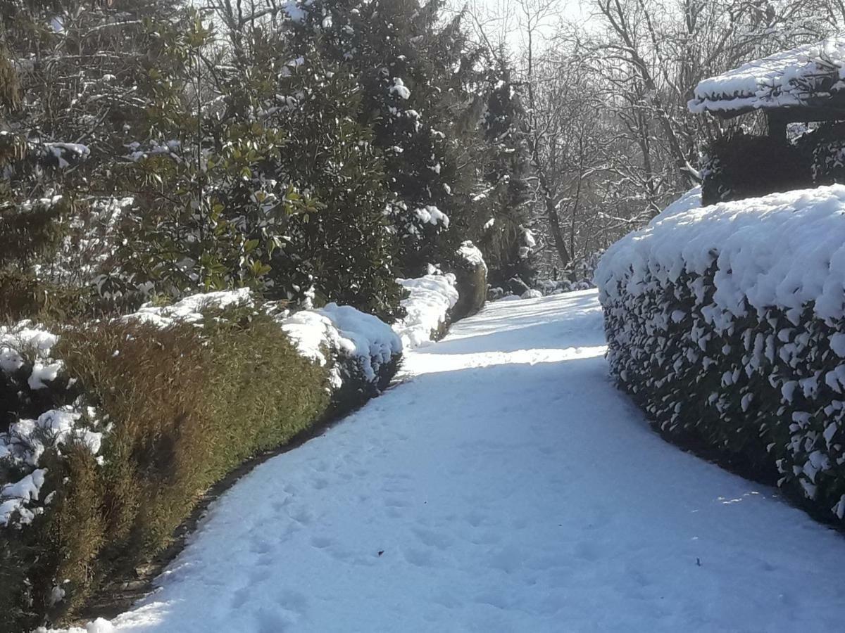 Tenuta Degli Angeli Rossi Asti Luaran gambar
